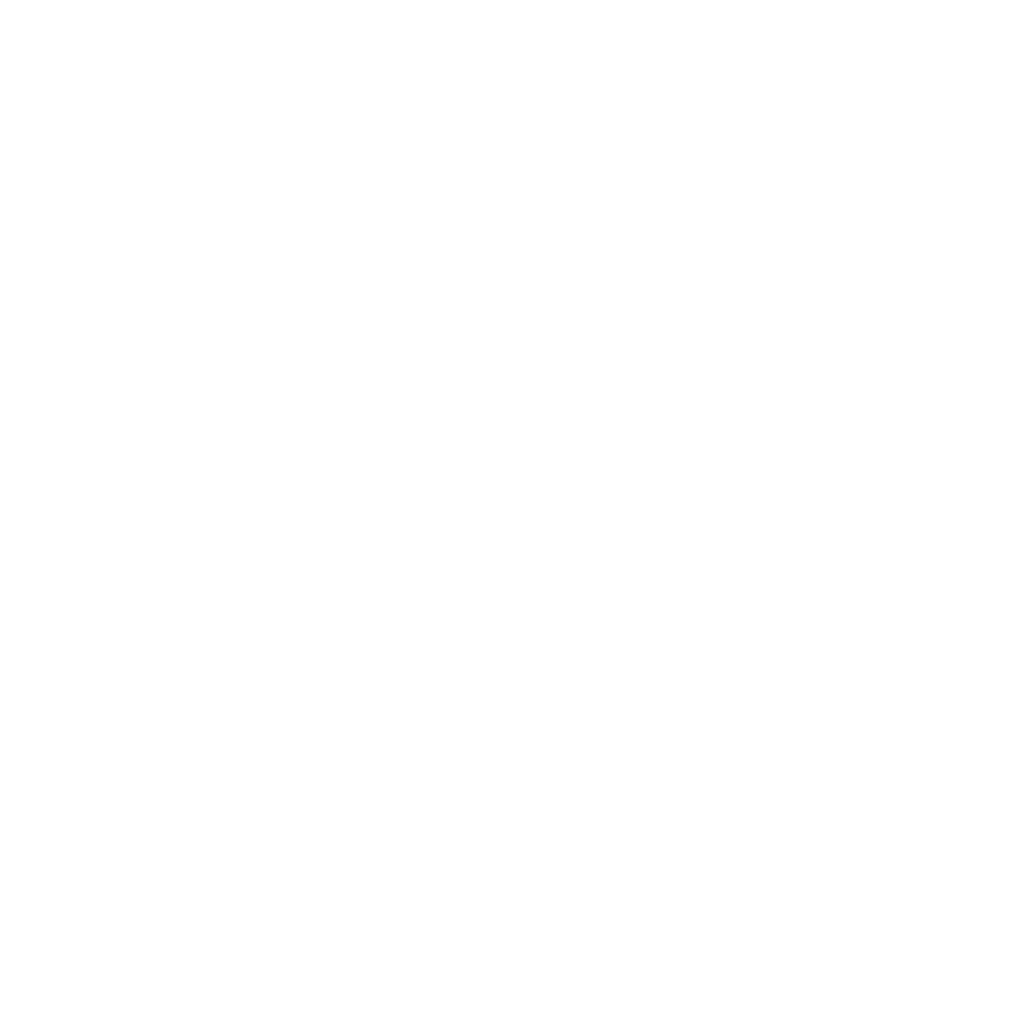 logo light