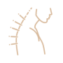 icon02-31