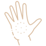 icon02-32