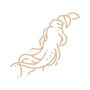 icon02-34
