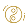 icon02Y-62